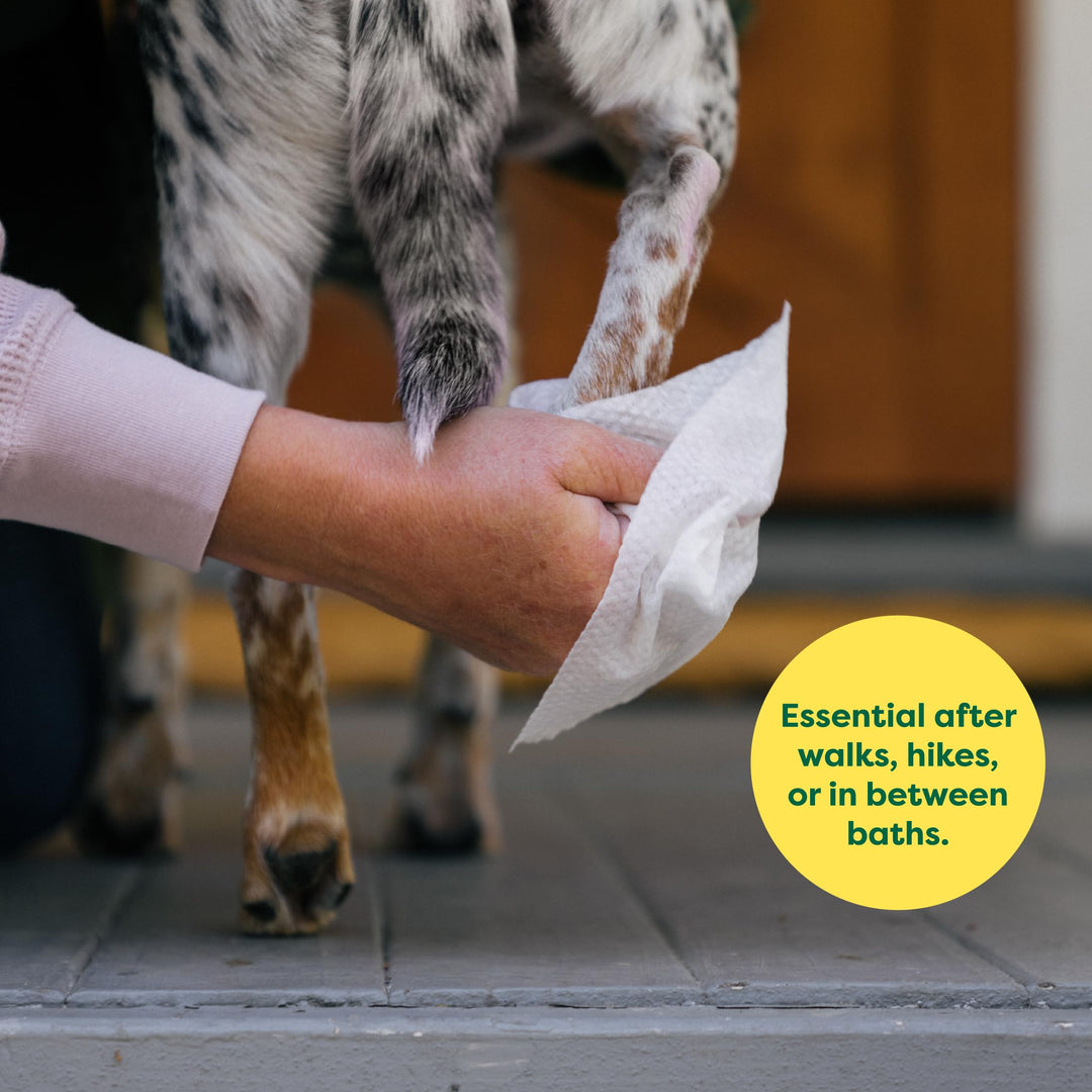 Earth Rated Hypoallergenic Pet Wipes for Dogs & Cats