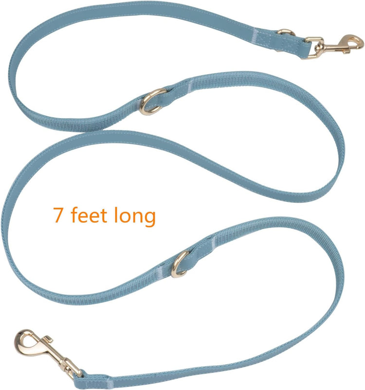 Leather Dog Collar and Leash Set 7FT Reflective at Night - Soft and Easy to Clean Vegan Leather with Gold Metal Buckle for Small Medium Large Dogs (M, Grey Blue)