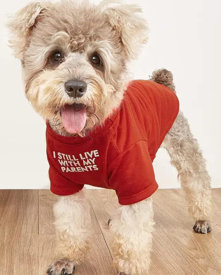 Cute Dog Clothes,Dog T Shirt for Medium Dogs.Dog Clothes for Small Dogs Girl Boy,Puppy.Breathable Soft Dog Costume Pet Dogs Cats,Pet Pullover Jumper,Cat Clothes (S-(4~8lb), Chest~14", Khaki)