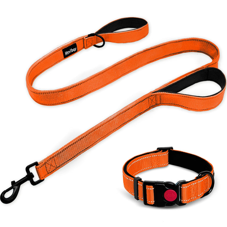 Dog Leashes for Large Dogs Heavy Duty, Double-Sided Reflective Dog Leash for Large Dogs Walking, Padded Handle Nylon Reinforced Reflective Buckle Dog Collar, Black, Large, 5FT