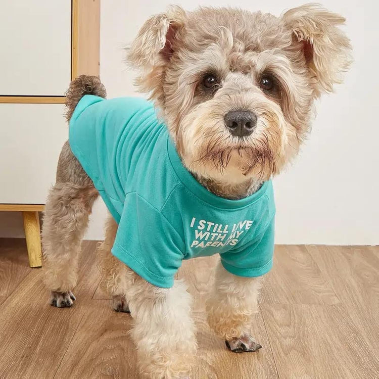 Cute Dog Clothes,Dog T Shirt for Medium Dogs.Dog Clothes for Small Dogs Girl Boy,Puppy.Breathable Soft Dog Costume Pet Dogs Cats,Pet Pullover Jumper,Cat Clothes (S-(4~8lb), Chest~14", Khaki)