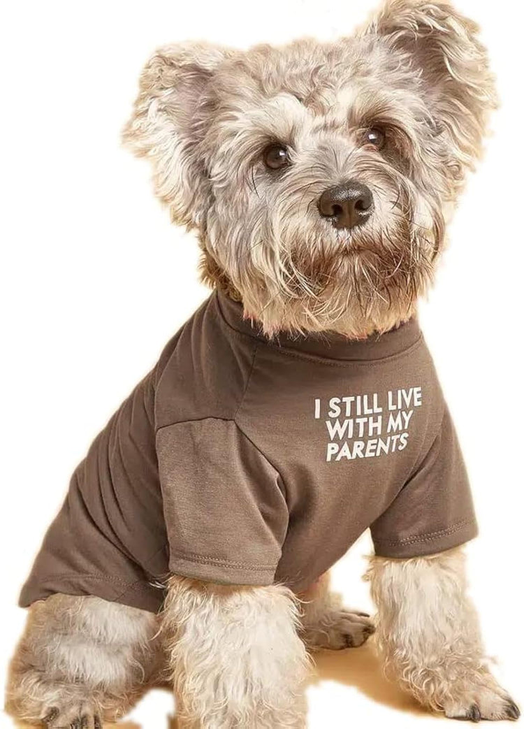 Cute Dog Clothes,Dog T Shirt for Medium Dogs.Dog Clothes for Small Dogs Girl Boy,Puppy.Breathable Soft Dog Costume Pet Dogs Cats,Pet Pullover Jumper,Cat Clothes (S-(4~8lb), Chest~14", Khaki)