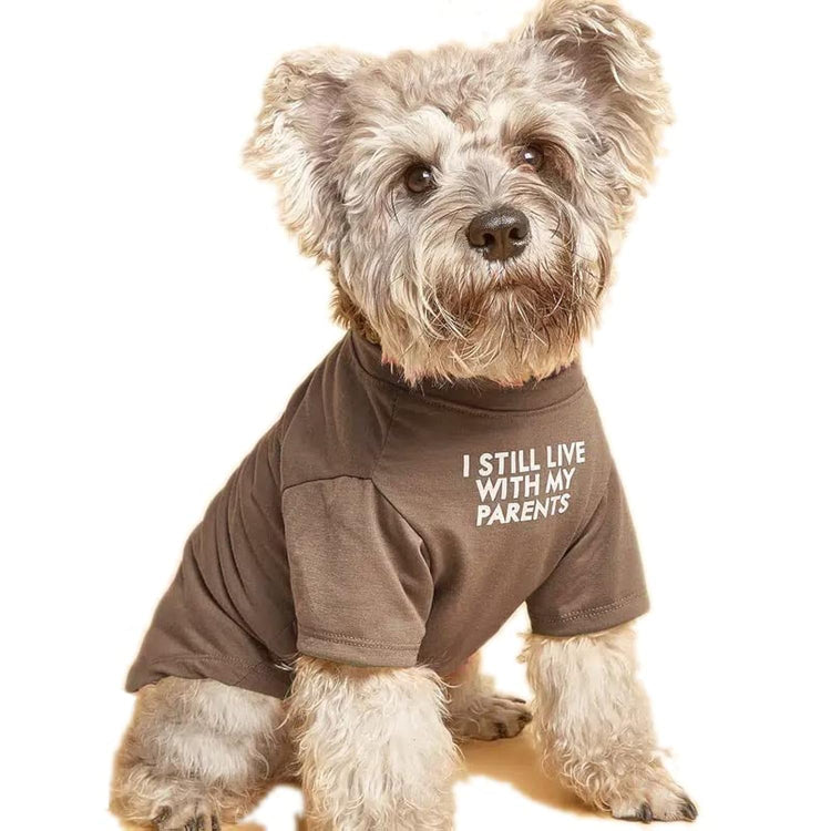 Cute Dog Clothes,Dog T Shirt for Medium Dogs.Dog Clothes for Small Dogs Girl Boy,Puppy.Breathable Soft Dog Costume Pet Dogs Cats,Pet Pullover Jumper,Cat Clothes (S-(4~8lb), Chest~14", Khaki)