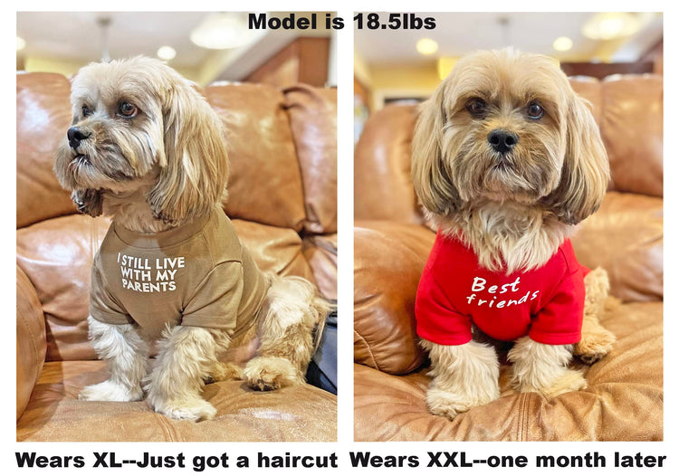 Cute Dog Clothes,Dog T Shirt for Medium Dogs.Dog Clothes for Small Dogs Girl Boy,Puppy.Breathable Soft Dog Costume Pet Dogs Cats,Pet Pullover Jumper,Cat Clothes (S-(4~8lb), Chest~14", Khaki)