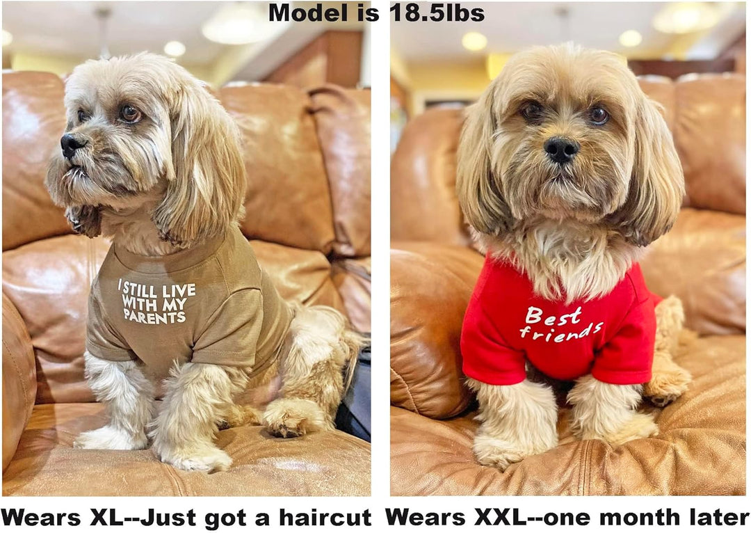 Cute Dog Clothes,Dog T Shirt for Medium Dogs.Dog Clothes for Small Dogs Girl Boy,Puppy.Breathable Soft Dog Costume Pet Dogs Cats,Pet Pullover Jumper,Cat Clothes (S-(4~8lb), Chest~14", Khaki)