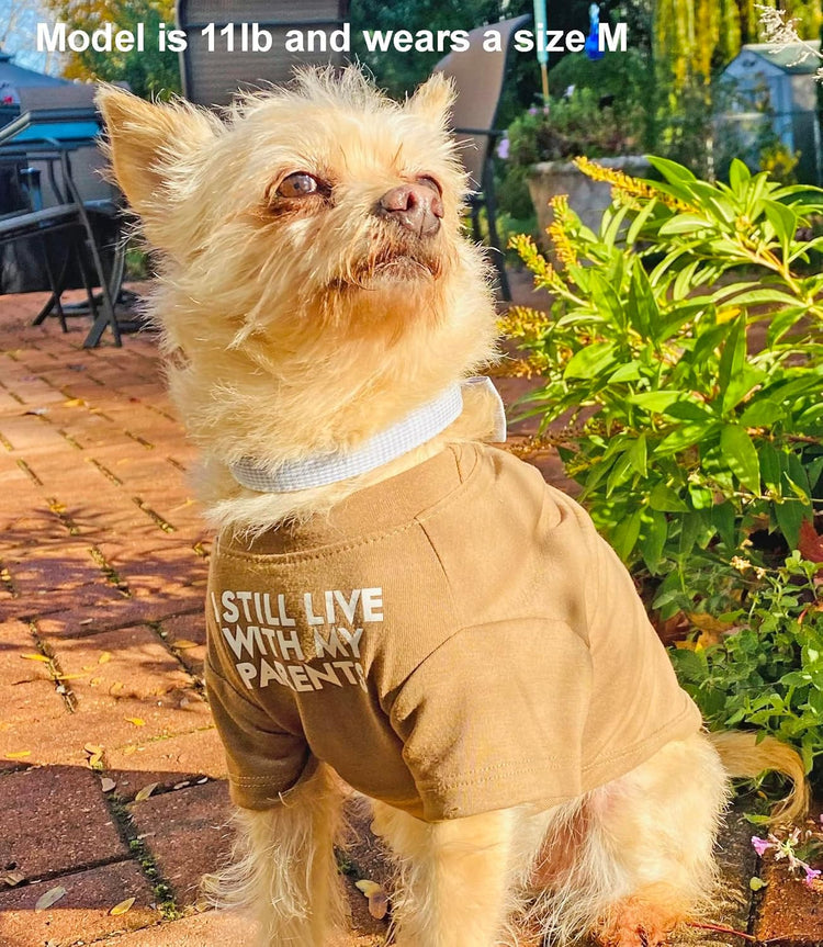 Cute Dog Clothes,Dog T Shirt for Medium Dogs.Dog Clothes for Small Dogs Girl Boy,Puppy.Breathable Soft Dog Costume Pet Dogs Cats,Pet Pullover Jumper,Cat Clothes (S-(4~8lb), Chest~14", Khaki)